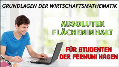 Zum Probe-Video Absoluter Flächeninhalt