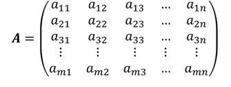 Aufbau einer Matrix Allgemeiner Aufbau einer Matrix mit Zeilen und Spalten
