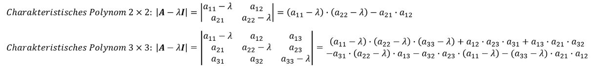 Charakteristisches Polynom einer Matrix