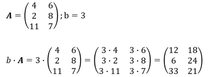 Rechenbeispiele zur Multiplikation einer Matrix mit einem Skalar