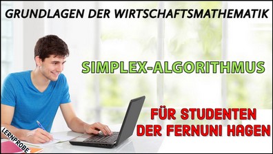 Zum Probe-Video Simplex-Algorithmus