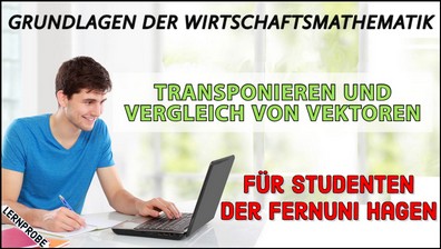 Zum Probe-Video Transponieren und Vergleich von Vektoren