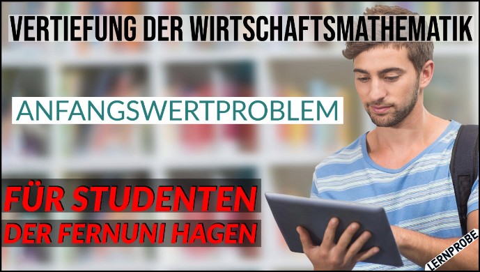 Zum Probe-Video Anfangswertproblem