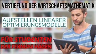 Zum Probe-Video Aufstellen lineares Optimierungsmodell