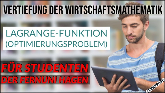 Zum Probe-Video Lagrange-Funktion (Optimierungsproblem)