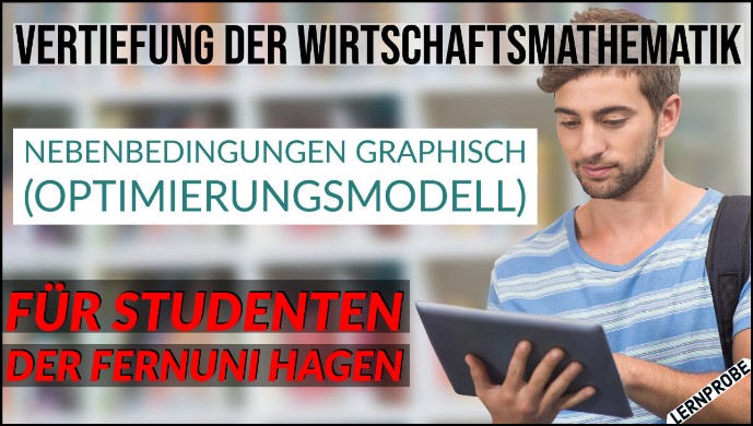 Zum Probe-Video Nebenbedingungen graphisch (Optimierungsmodell)