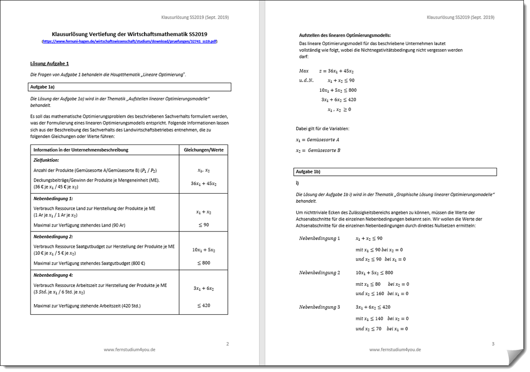 Klausurlösung Vertiefung Wirtschaftsmathematik WS2013-SS2019 - Fernuni Hagen